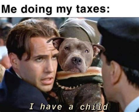 filing taxes meme|15 Tax Season Memes To Add To Your Files